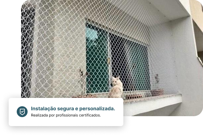 imagem principal de destaque